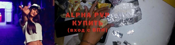 гашик Новокубанск